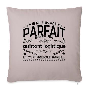 Logistics Assistant Gift Logistics Assistant l - Sofa pillowcase 17,3'' x 17,3'' (45 x 45 cm) - light taupe - Front