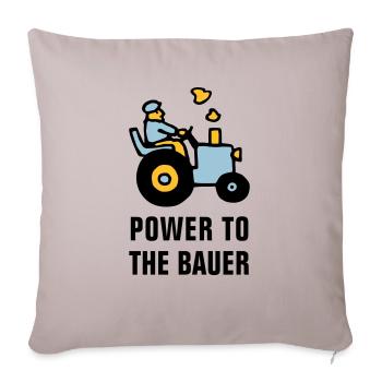 power_to_the_bauer_072011_b_3c - Sofa pillowcase 17,3'' x 17,3'' (45 x 45 cm) - light taupe - Front