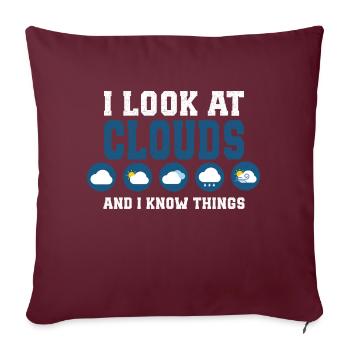 Je regarde les nuages et je sais des choses... - Housse de coussin décorative 45 x 45 cm - bordeaux - Devant