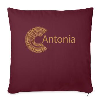 Pour Antonia - Housse de coussin décorative 45 x 45 cm - bordeaux - Devant