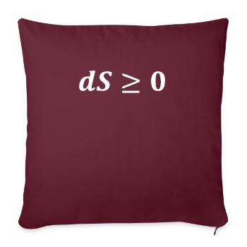 Physique Deuxième loi de l’équation thermodynamique - Housse de coussin décorative 45 x 45 cm - bordeaux - Devant