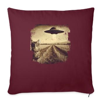 Selfie de chat et d’OVNI, Photographie de nerd bizarre - Housse de coussin décorative 45 x 45 cm - bordeaux - Devant