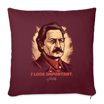 J’ai l’air important - Housse de coussin décorative 45 x 45 cm - bordeaux - Devant