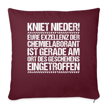 Technicien de laboratoire chimique Laboratoire de chimie Laboratoire de chimie - Housse de coussin décorative 45 x 45 cm - bordeaux - Devant