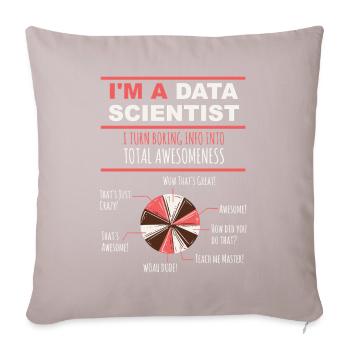 I'm a Data Scientist Boring Info into Awesomeness - Sofa pillowcase 17,3'' x 17,3'' (45 x 45 cm) - light taupe - Front
