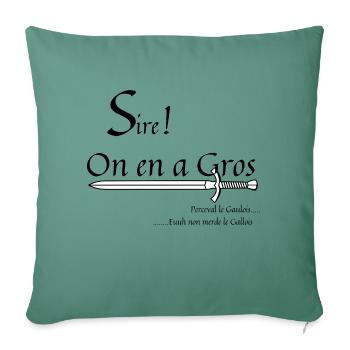 On en a gros - Housse de coussin décorative 45 x 45 cm - vert sapin - Devant