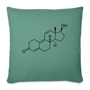 Trenbolone - Sofa pillowcase 17,3'' x 17,3'' (45 x 45 cm) - cypress green - Front