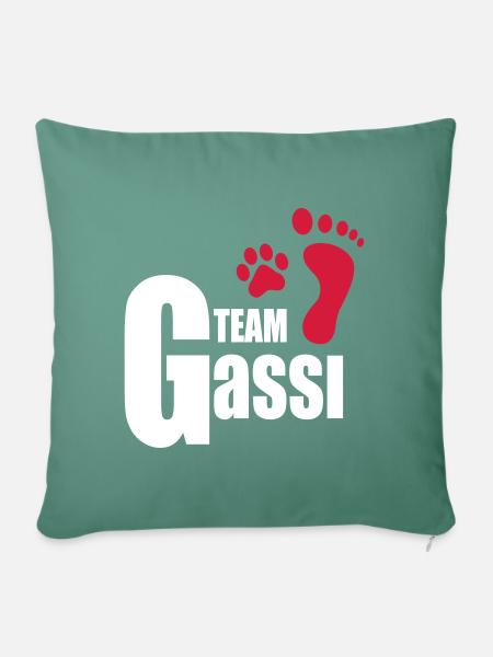 Team Gassi - Sofakissenbezug 45 x 45 cm - Tanngrün
