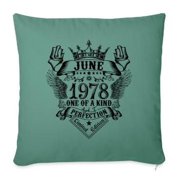 Geburtstag Juni 1978 geboren im Juni 1978 - Sofakissenbezug 45 x 45 cm - Tanngrün - Vorne
