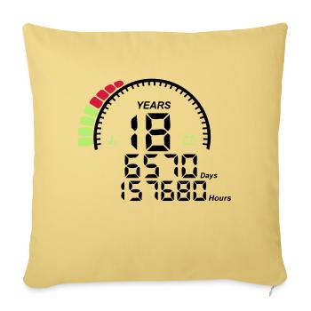 counter anniversary years 18 years - Sofa pillowcase 17,3'' x 17,3'' (45 x 45 cm) - washed yellow - Front