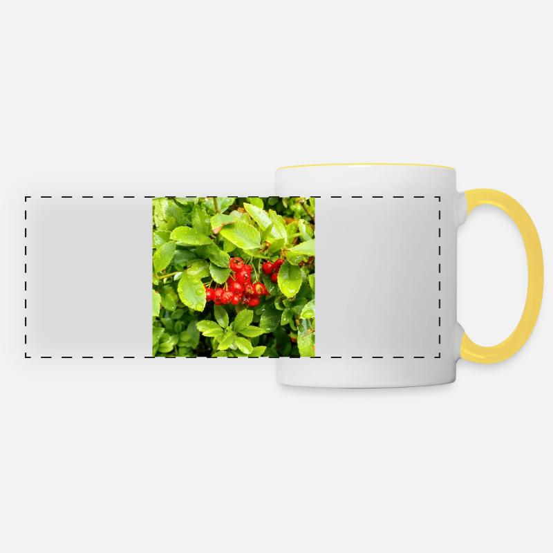 Mediterranean Firethorn / Pyracantha coccinea - Panoramic Mug - white/yellow