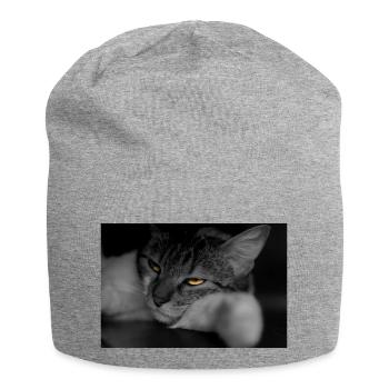 The cat with the terrible look - Jersey Beanie - heather grey - Front