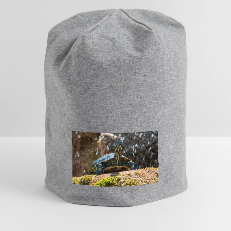 Trachemys scripta scripta scripta Bonnet en jersey