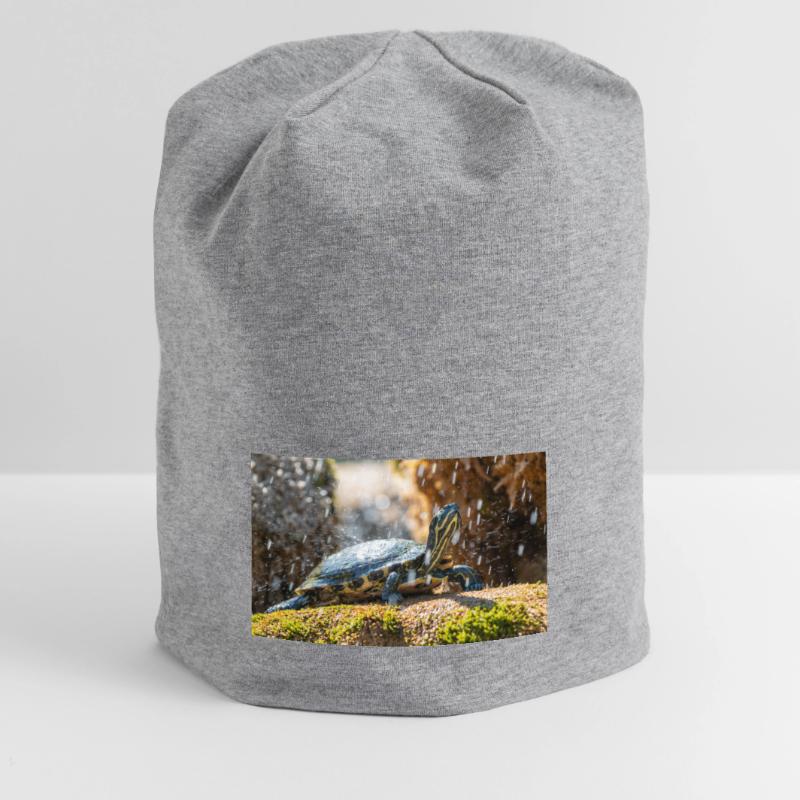 Trachemys scripta scripta scripta Bonnet en jersey