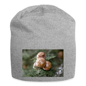 Italian cypress also Mediterranean cypress - Jersey Beanie - heather grey - Front