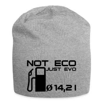 Not Eco - Just Evo - Jersey-Beanie - Grau meliert - Vorne