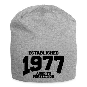 aged to perfection established 1977 (de) - Jersey-Beanie - Grau meliert - Vorne