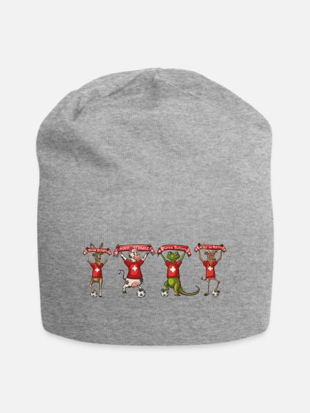 Alle Schweizer Fans - Jersey-Beanie - Grau meliert