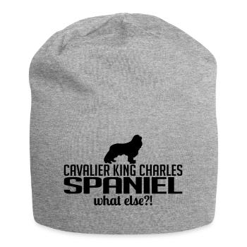 Cavalier King Charles Spaniel whatelse - Bonnet en jersey - gris chiné - Devant