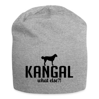 KANGAL what else - Jersey Beanie - heather grey - Front