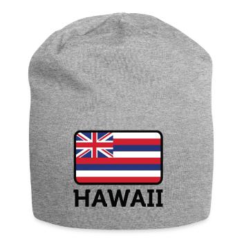 National Flag Of Hawaii - Jersey Beanie - heather grey - Front