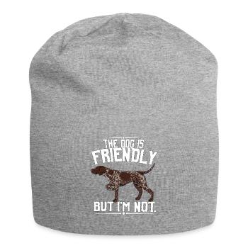 ssfriendly6 - Jersey Beanie - heather grey - Front