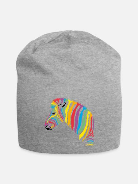rainbow zebra - Jersey-Beanie - Grau meliert