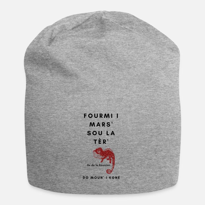 FOURMI I MARS'SOU LA TER' DO MOUN' I KONE - Bonnet en jersey - gris chiné