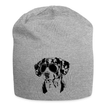 ENTLEBUCHER MOUNTAIN DOG Lunettes de soleil Chiens Wilsigns - Bonnet en jersey - gris chiné - Devant