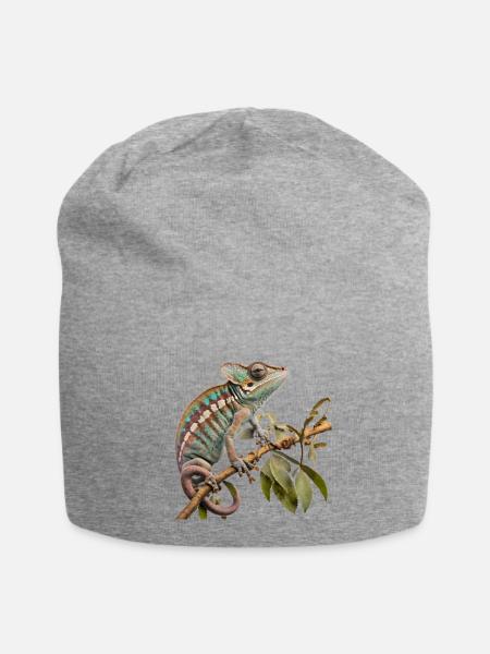 Chamäleon-Power - Jersey-Beanie - Grau meliert