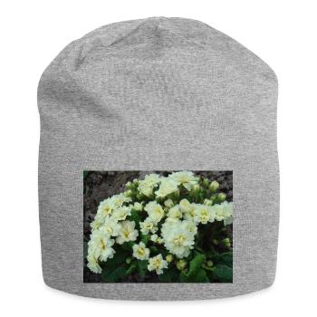 White filled scented primroses in spring - Jersey Beanie - heather grey - Front