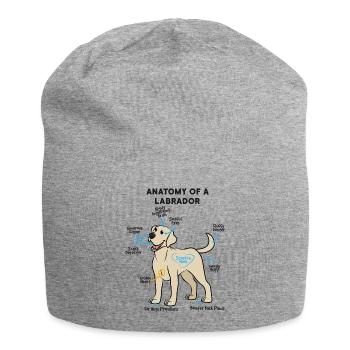 Anatomie d’un labrador - Bonnet en jersey - gris chiné - Devant