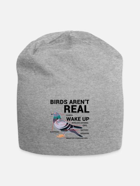 Verschwörung Vögel Lustig - Jersey-Beanie - Grau meliert