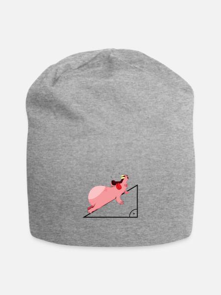 Hippopotamus hypotenuse math Funny - Jersey Beanie - heather grey