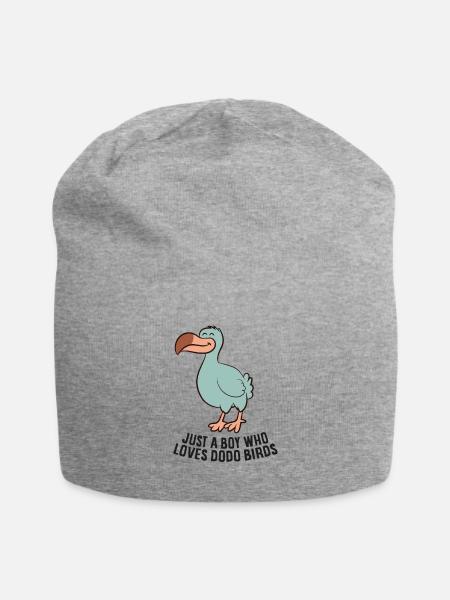 Nur ein Junge, der Dodovögel liebt - Jersey-Beanie - Grau meliert