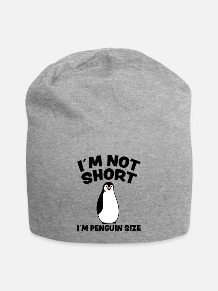 Penguin Funny Saying Small Fun Antarctica Gift - Jersey Beanie - heather grey