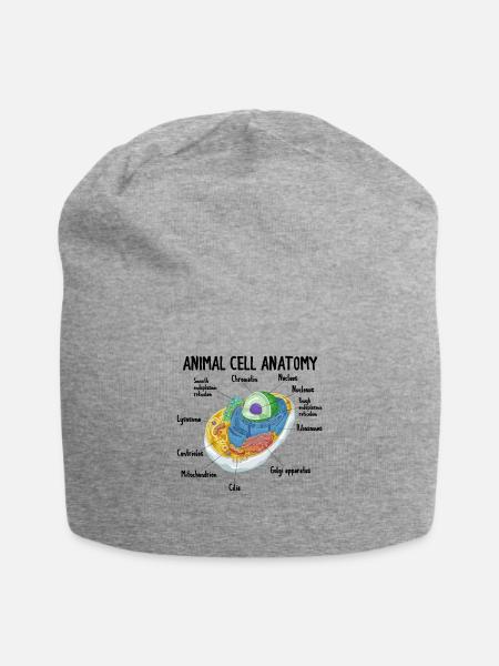 Anatomy Of Animal Cell Biology Biologist Science - Jersey-Beanie - Grau meliert