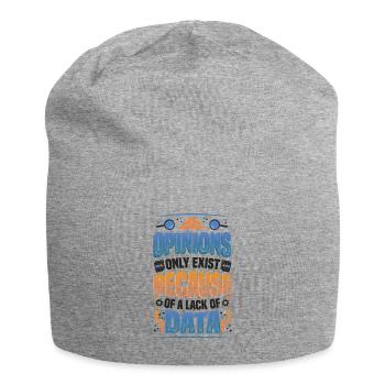 Opinions Lack of Data - Data Scientist Data - Jersey Beanie - heather grey - Front