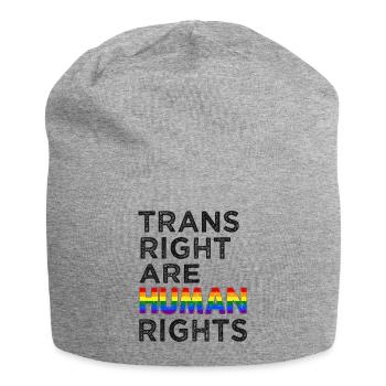 Lgbtq Trains right are human rights - Jersey Beanie - heather grey - Front