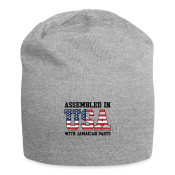 Geborener Jamaikaner Jamaika Amerikaner USA - Jersey-Beanie - Grau meliert - Vorne