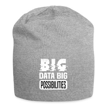 Internet Of Things IOT Programmer Admin IT - Jersey Beanie - heather grey - Front