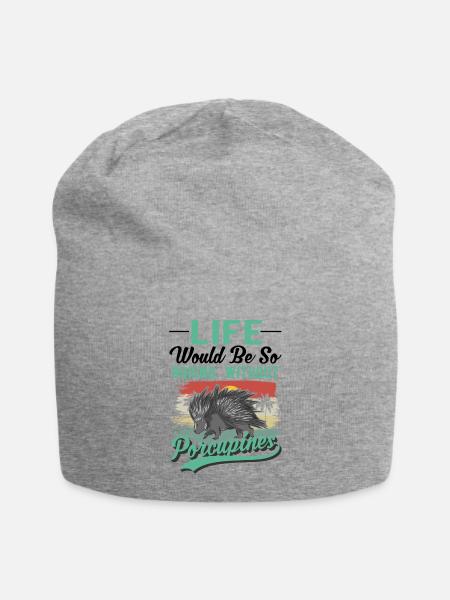 Stachelschwein Geschenk Porcupine - Jersey-Beanie - Grau meliert