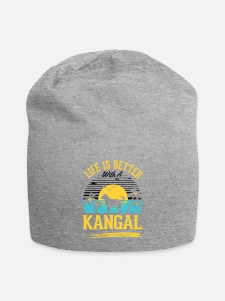 Das Leben ist beser mit einem Kangal - Jersey-Beanie - Grau meliert
