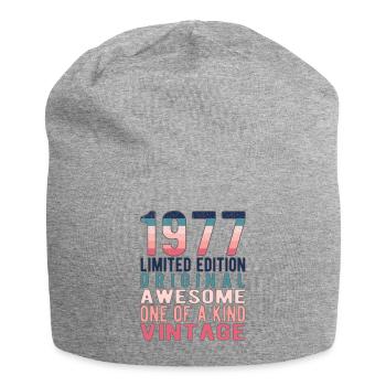 Limited Edition Since 1977 Birthday Vintage 1977 - Jersey Beanie - heather grey - Front