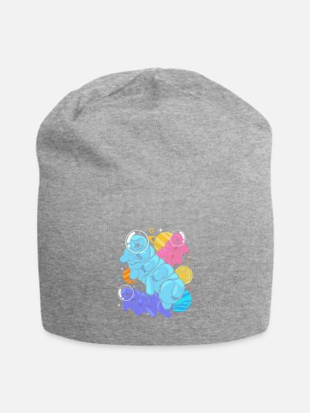 Tardigrade - Jersey-Beanie - Grau meliert