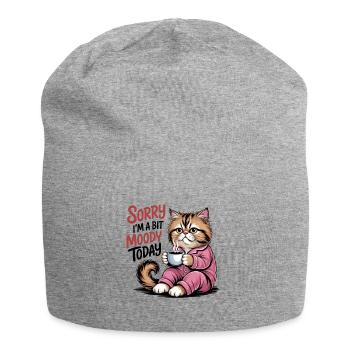 Lustige Katze tut mir leid, ich bin heute ein bisschen launisch - Jersey-Beanie - Grau meliert - Vorne