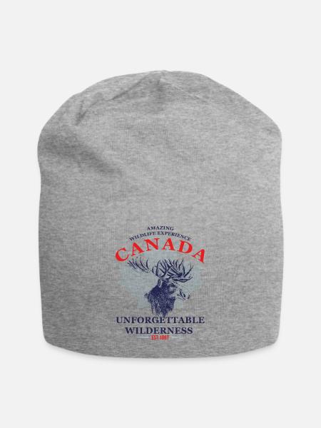 CANADA - MOOSE - Jersey-Beanie - Grau meliert