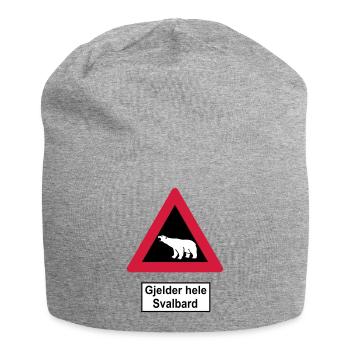 Svalbard - Bonnet en jersey - gris chiné - Devant
