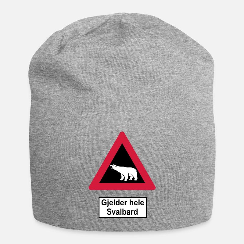 Svalbard - Jersey-Beanie - Grau meliert