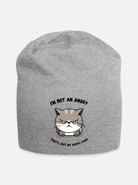 angry cats motive on a tshirt with a funny saying - Jersey Beanie - heather grey